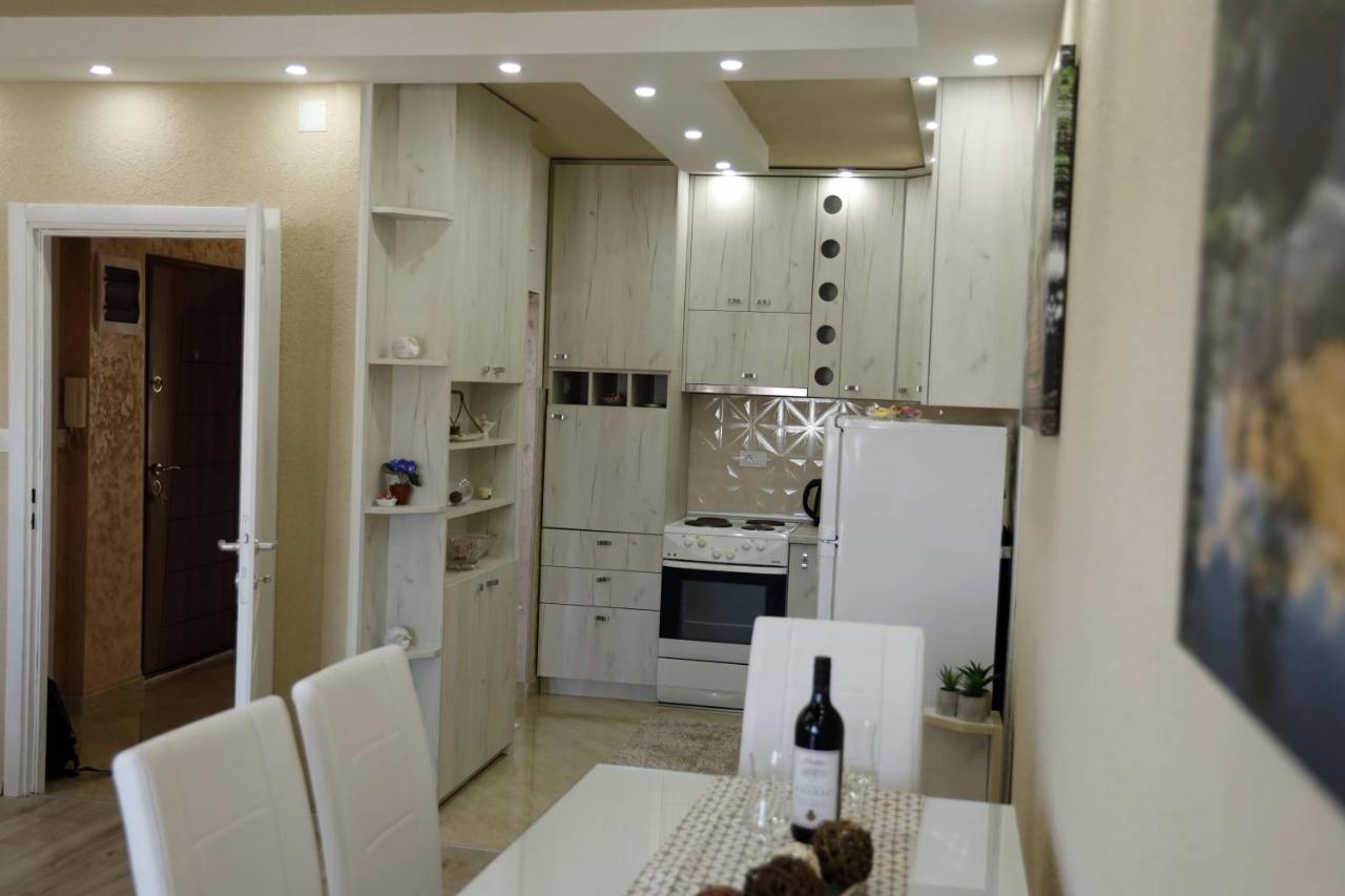 Apartment Alexandar Podgorica Esterno foto