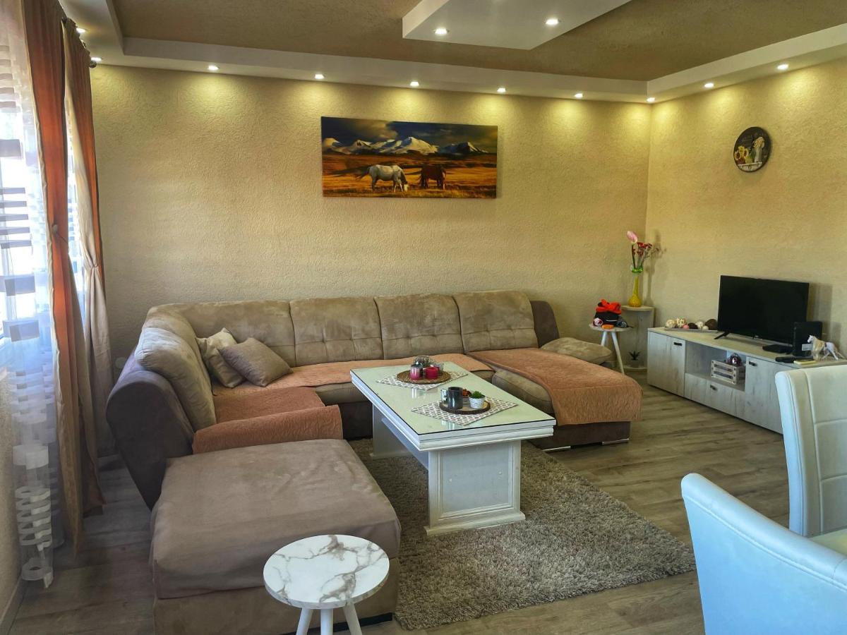 Apartment Alexandar Podgorica Esterno foto